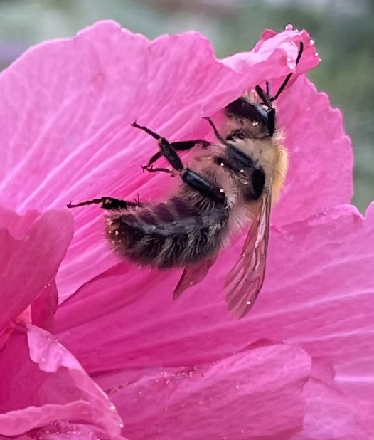 4F3774AE-073F-49FD-A22B-D5E7D6F59996