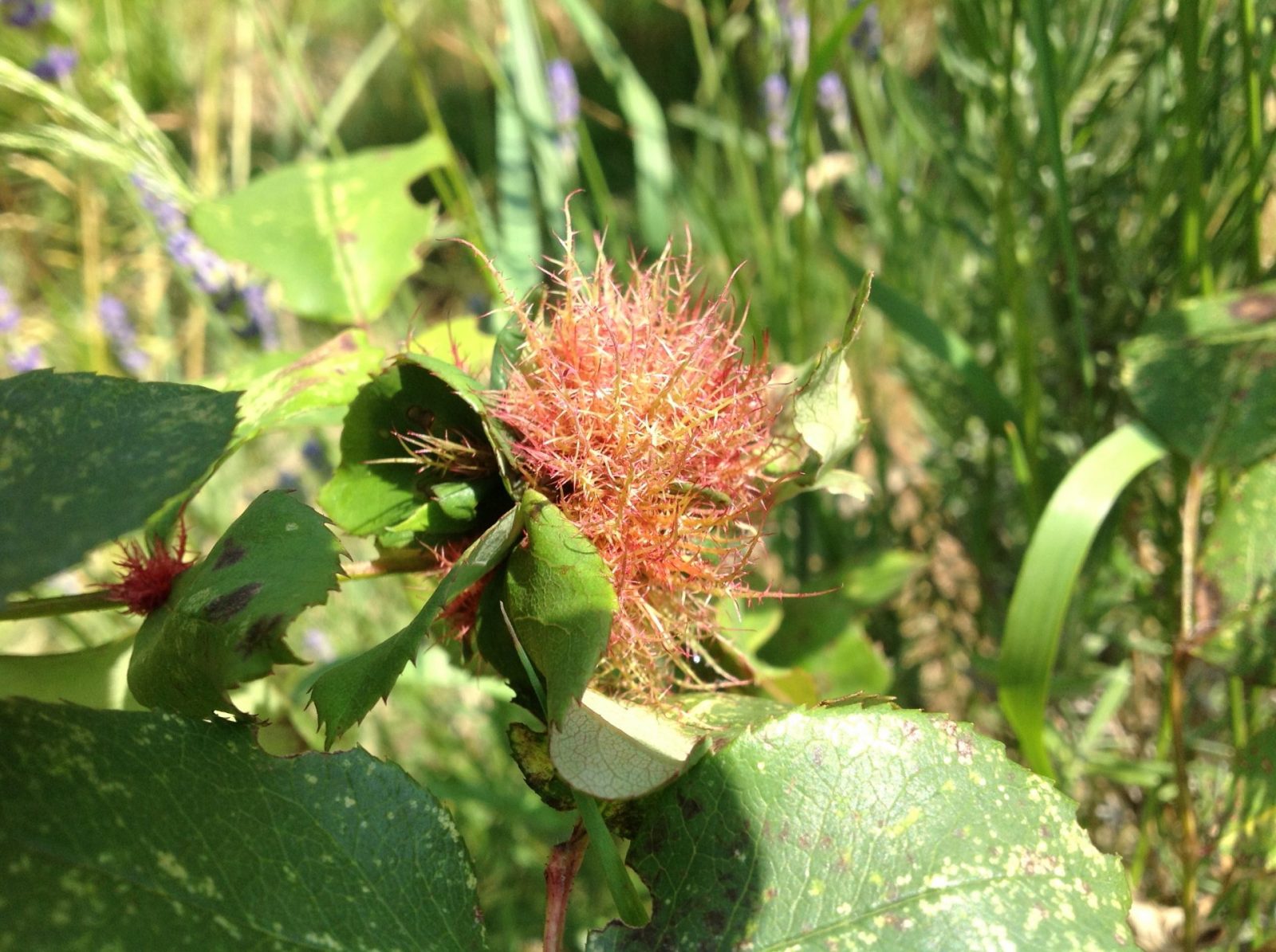 4FB0A19C-2EB0-4B85-BD42-79E27E951991