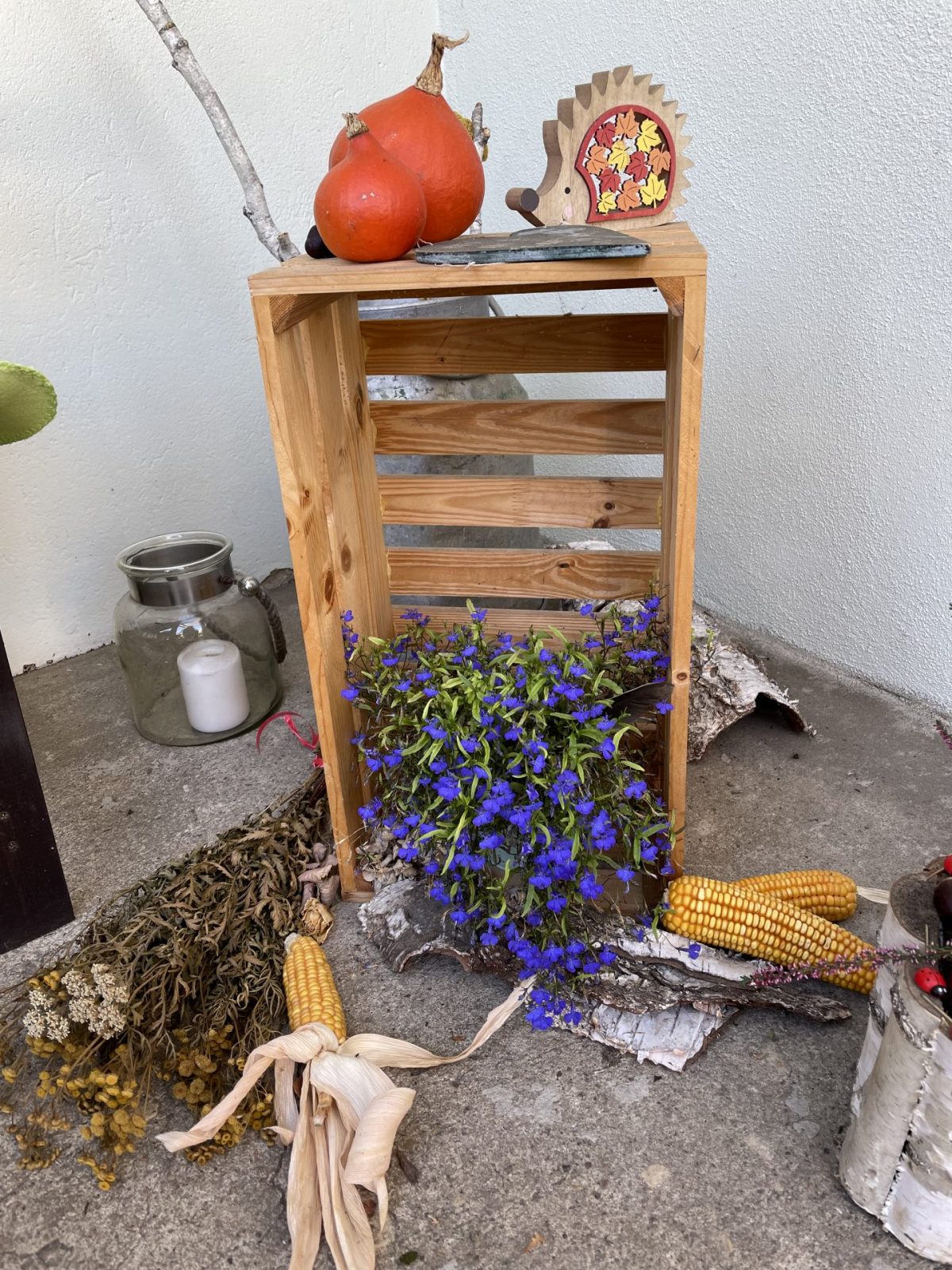 4FD28230-EA2C-48E0-B279-7722797E5186