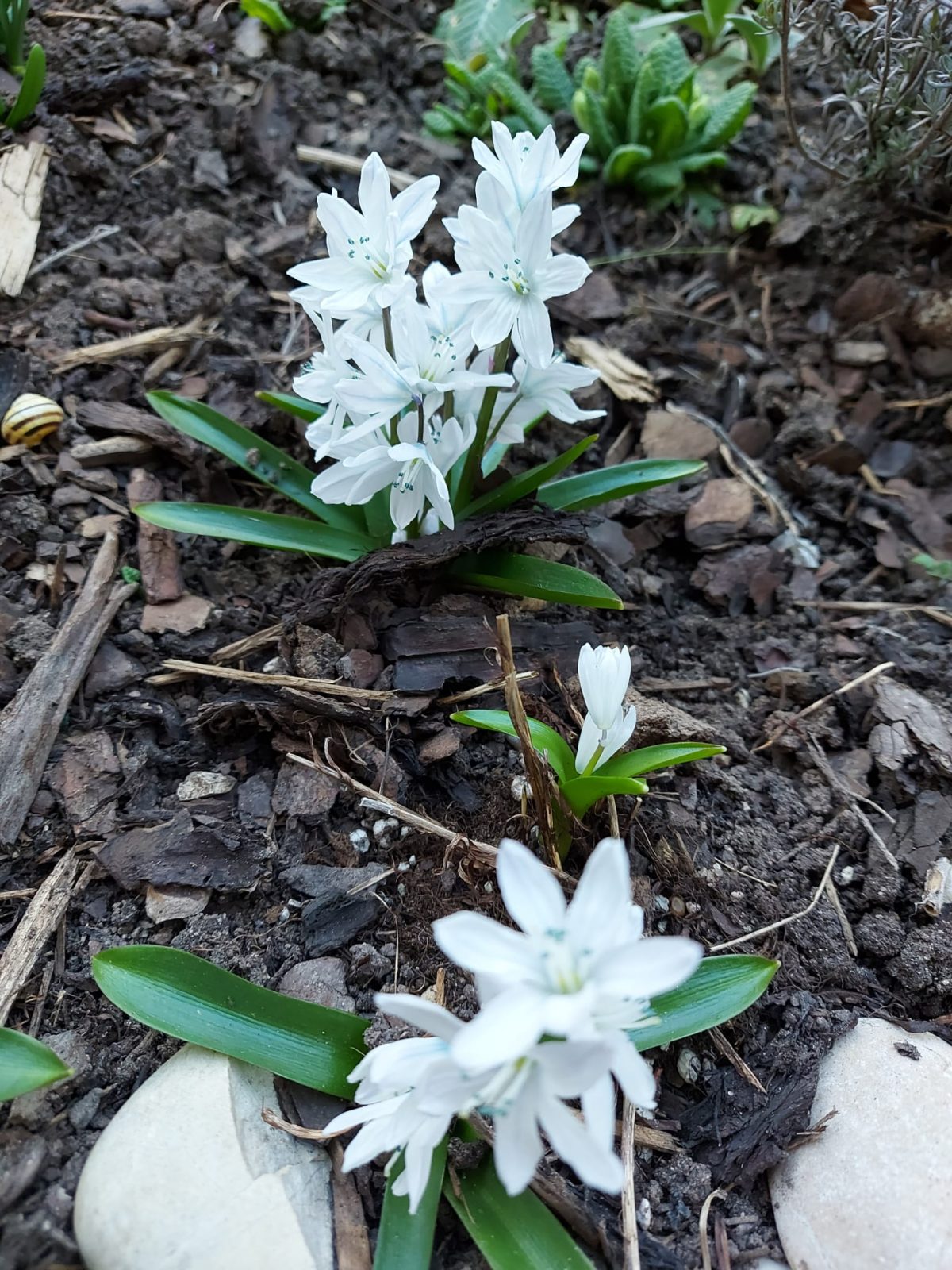 4a3cf9fa-00c3-4404-96cc-348f900b6539