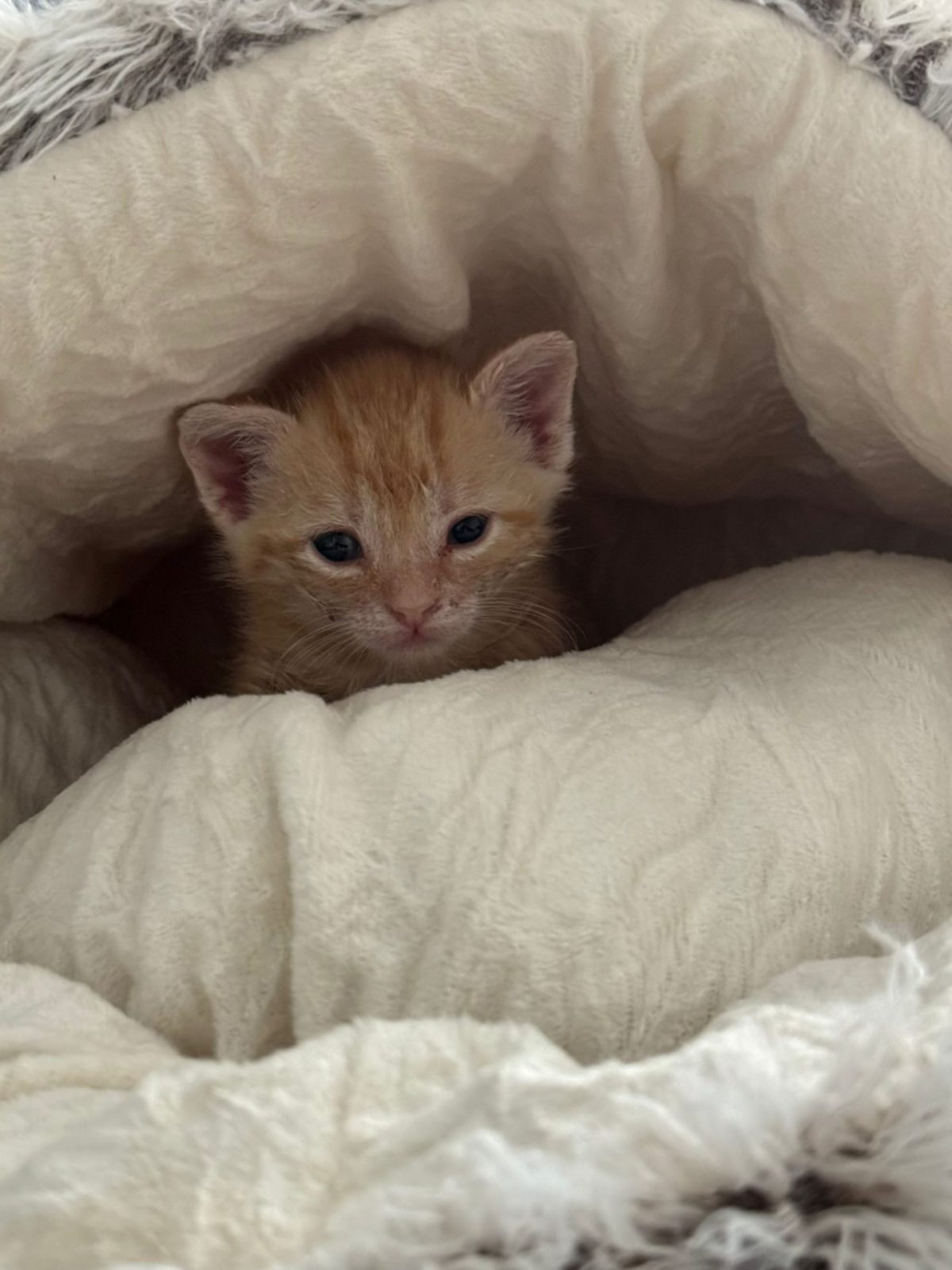 4ad760c3-f792-40ed-927f-79c756b67eee