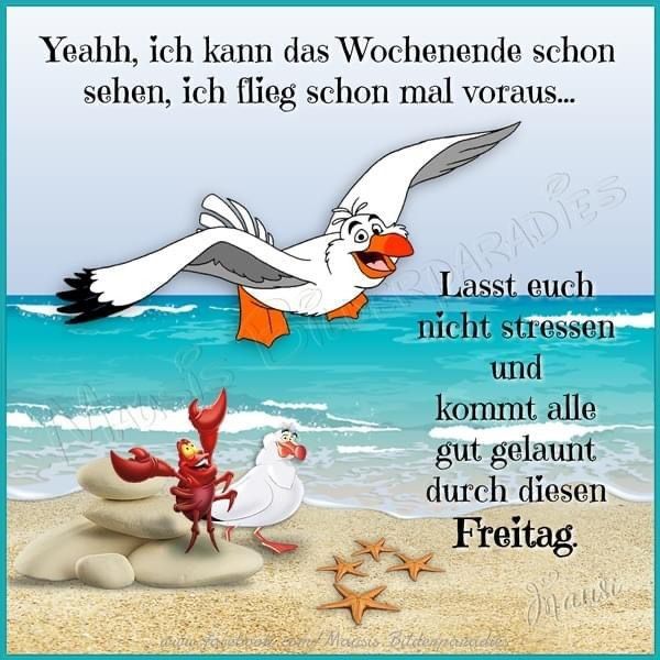 4d6f770f71f6b5625172bf931df6f04f