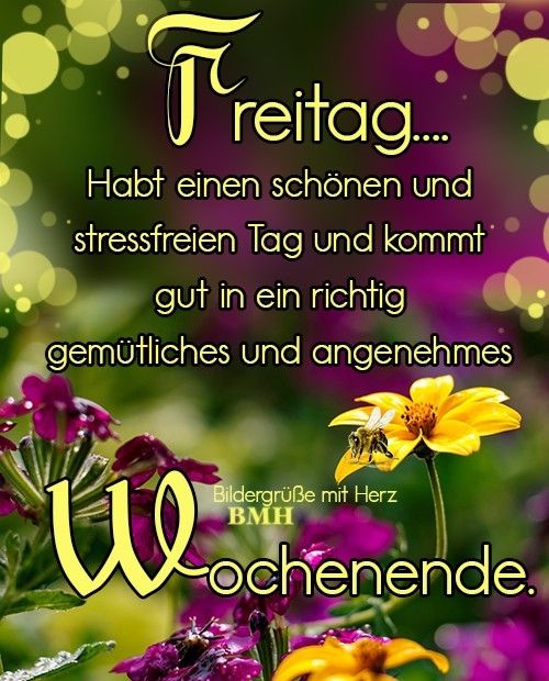 4e34c27d74541bd966b872881803e1dd