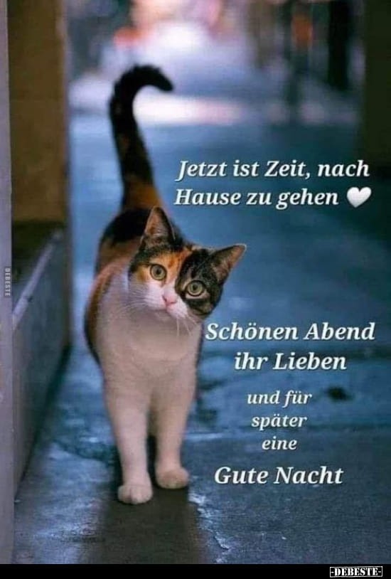 4efbe6fc-19c2-4079-ba0d-73dd9692cddf