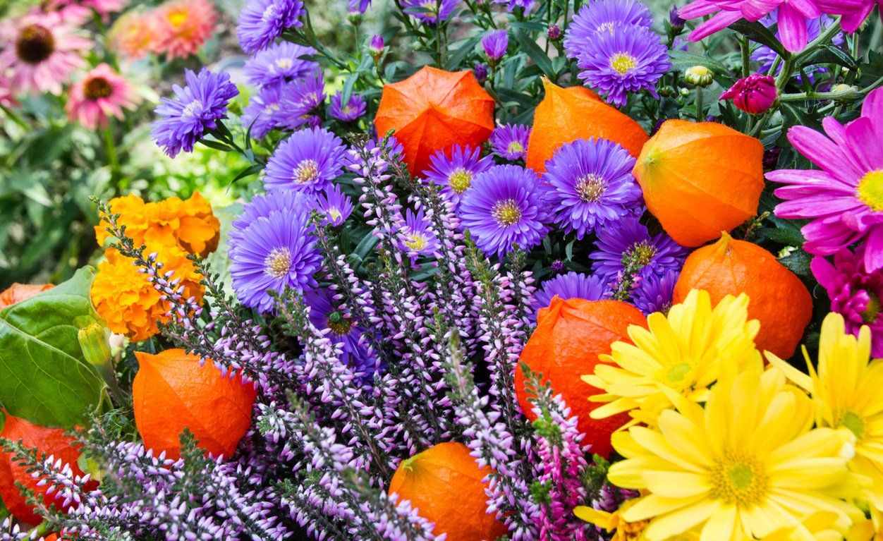 4f0aefe839a6ea9f1d9d5c0d430bfce8