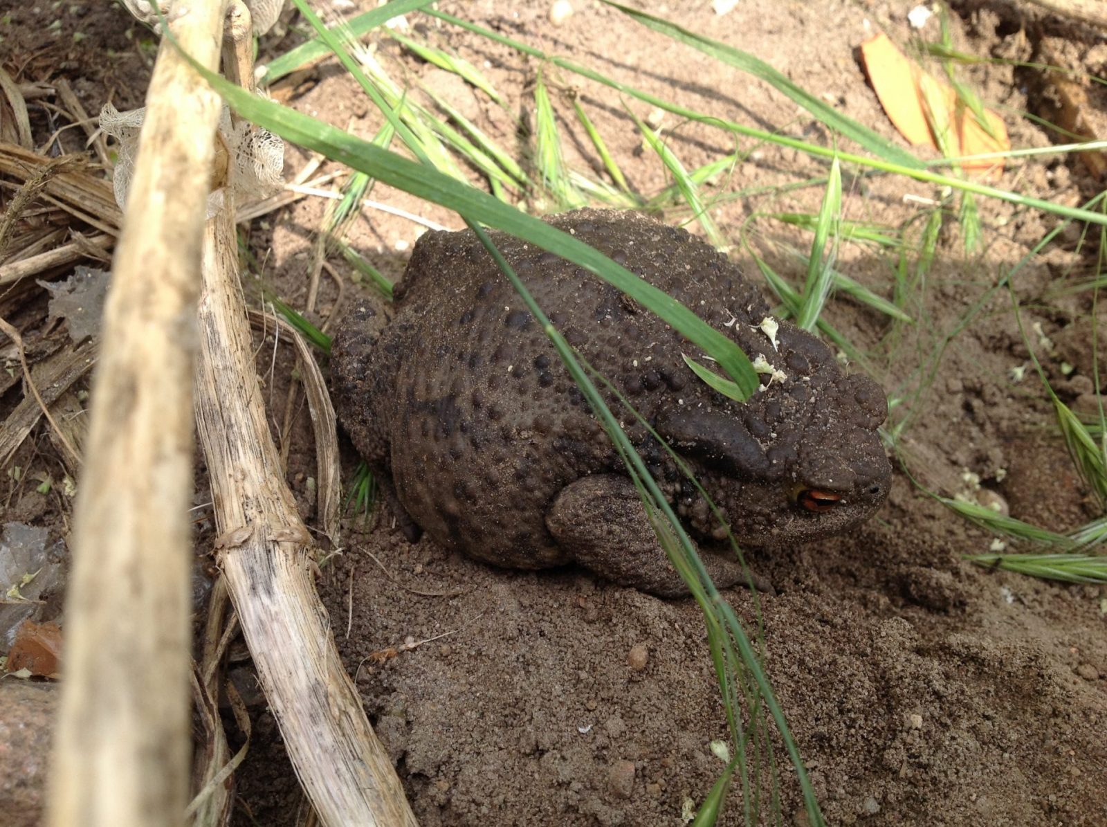 501160F6-97BD-4A60-A531-A303D0C795B5