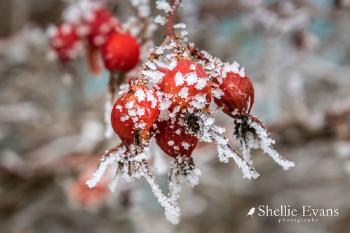 50150090126_02503eae16