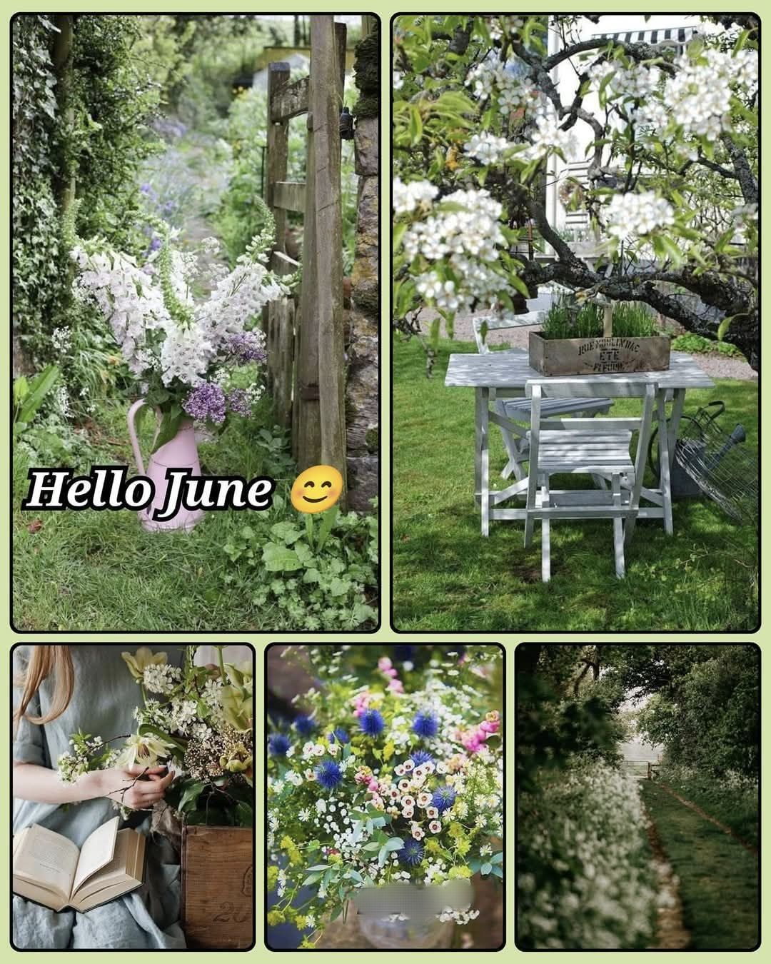 502413978_4187580571525563_7889917637065200073_n