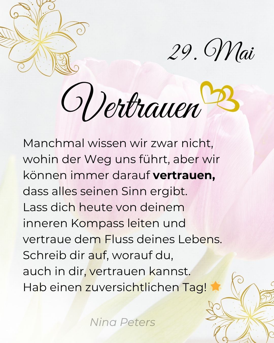 502584397_1141515791147233_7768007797960857842_n