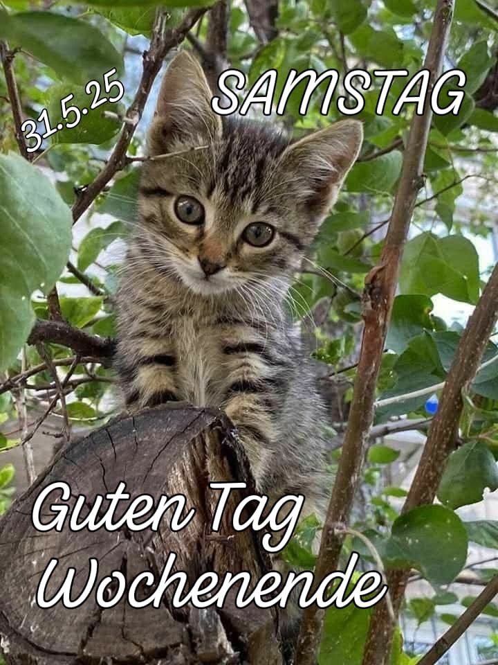 502670882_690160067205418_9054552576074533249_n (2)