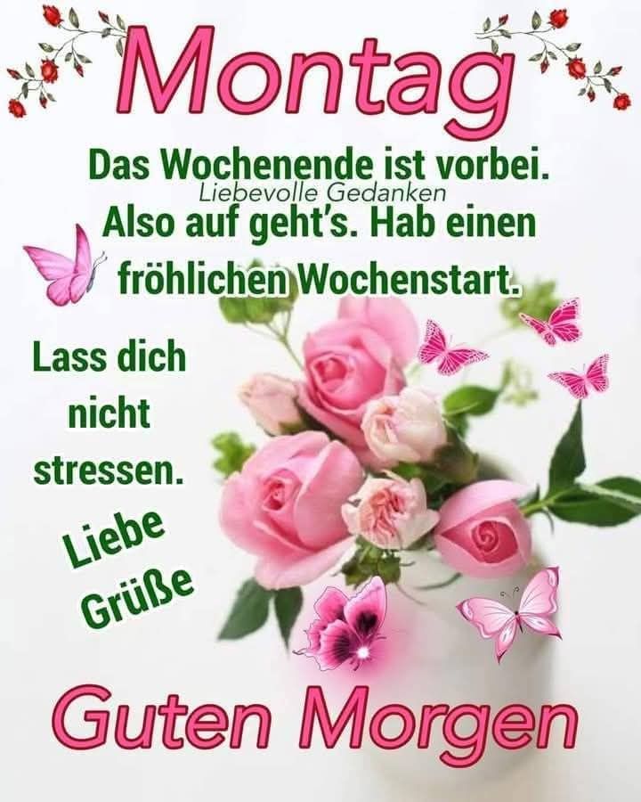 503434650_1209559114232231_4296358054297501391_n