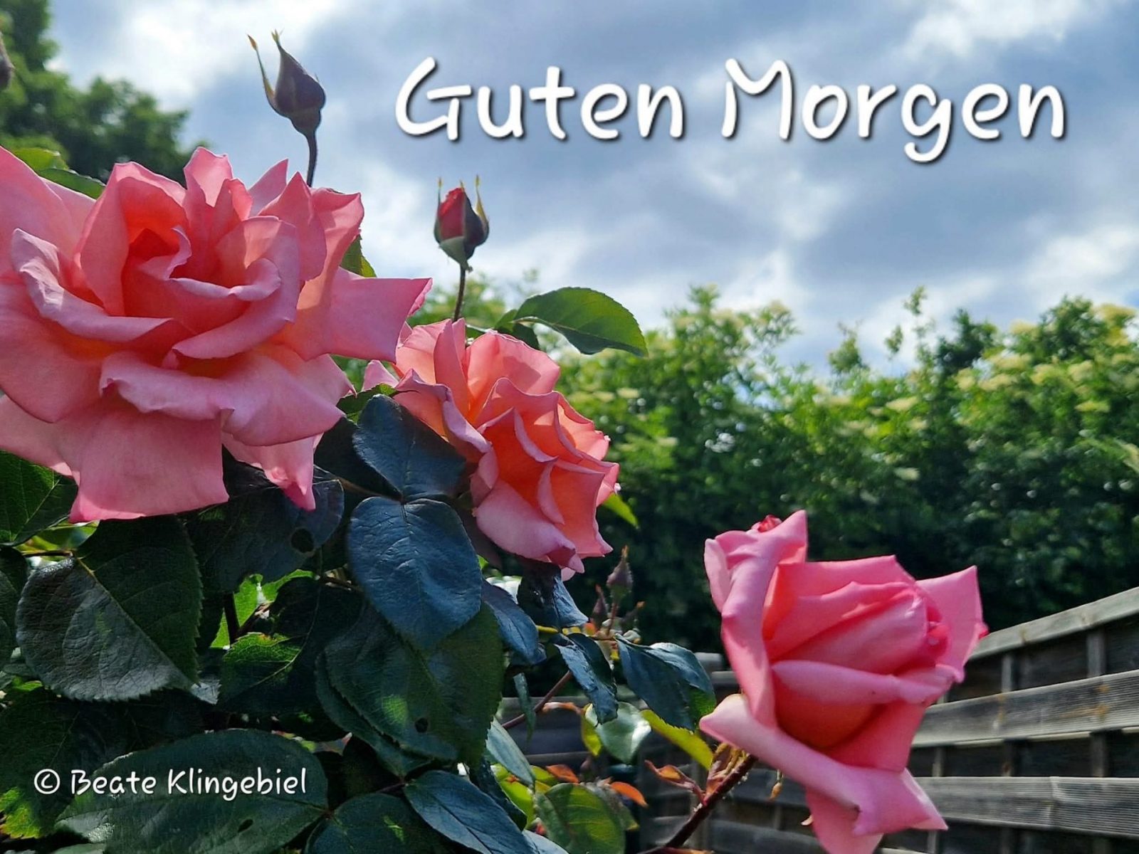 504002189_23875453202144373_2647629357012349134_n