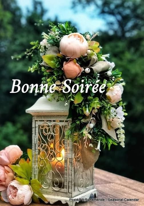 504160118_1150659053763062_6983588453355647044_n