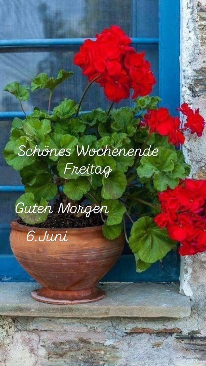 504686200_9600209463440584_6623465258778309851_n (2)