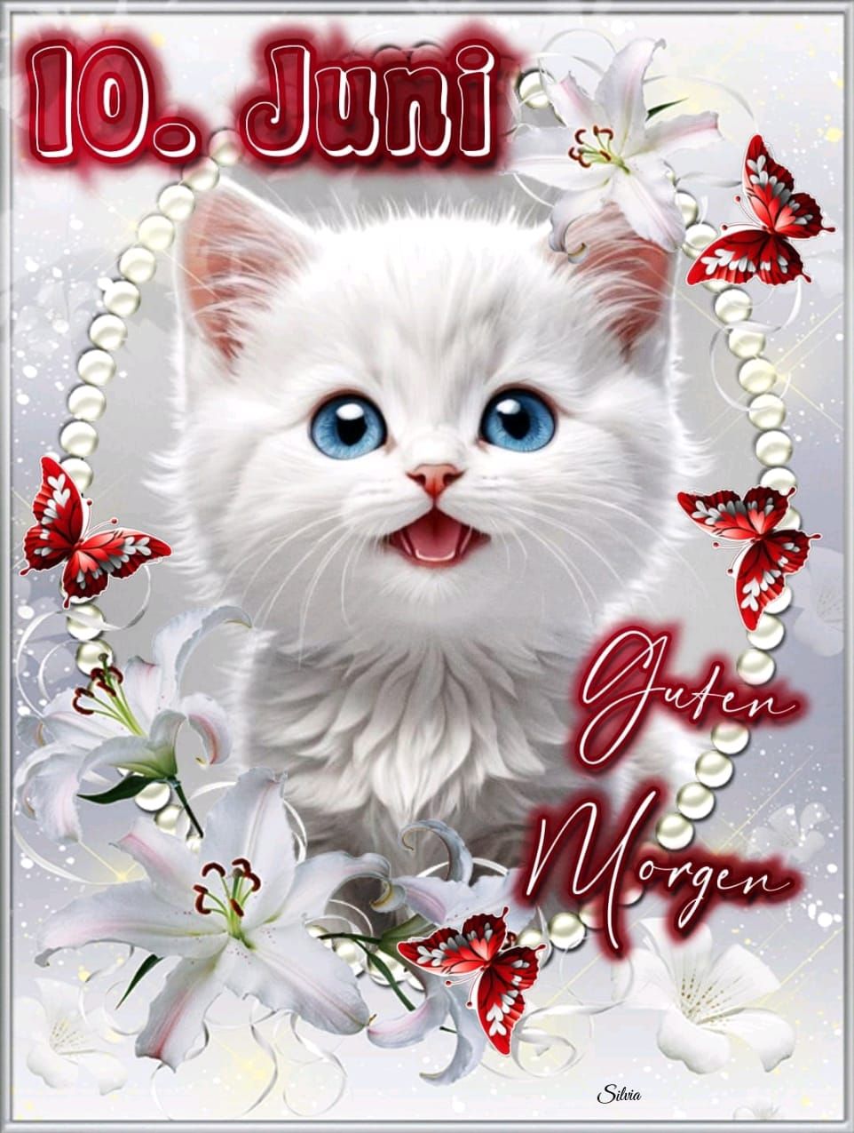 505498510_1130248735802636_6716355010573259532_n (2)