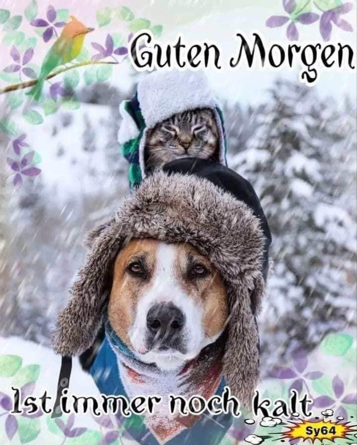 5058d3ca-565e-4f09-9924-876595f4659d