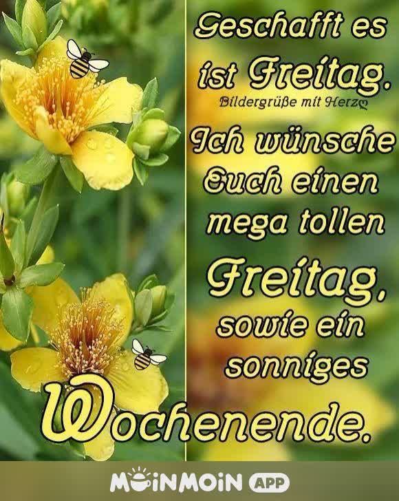 506789226_1221250002799848_4154914809964271621_n