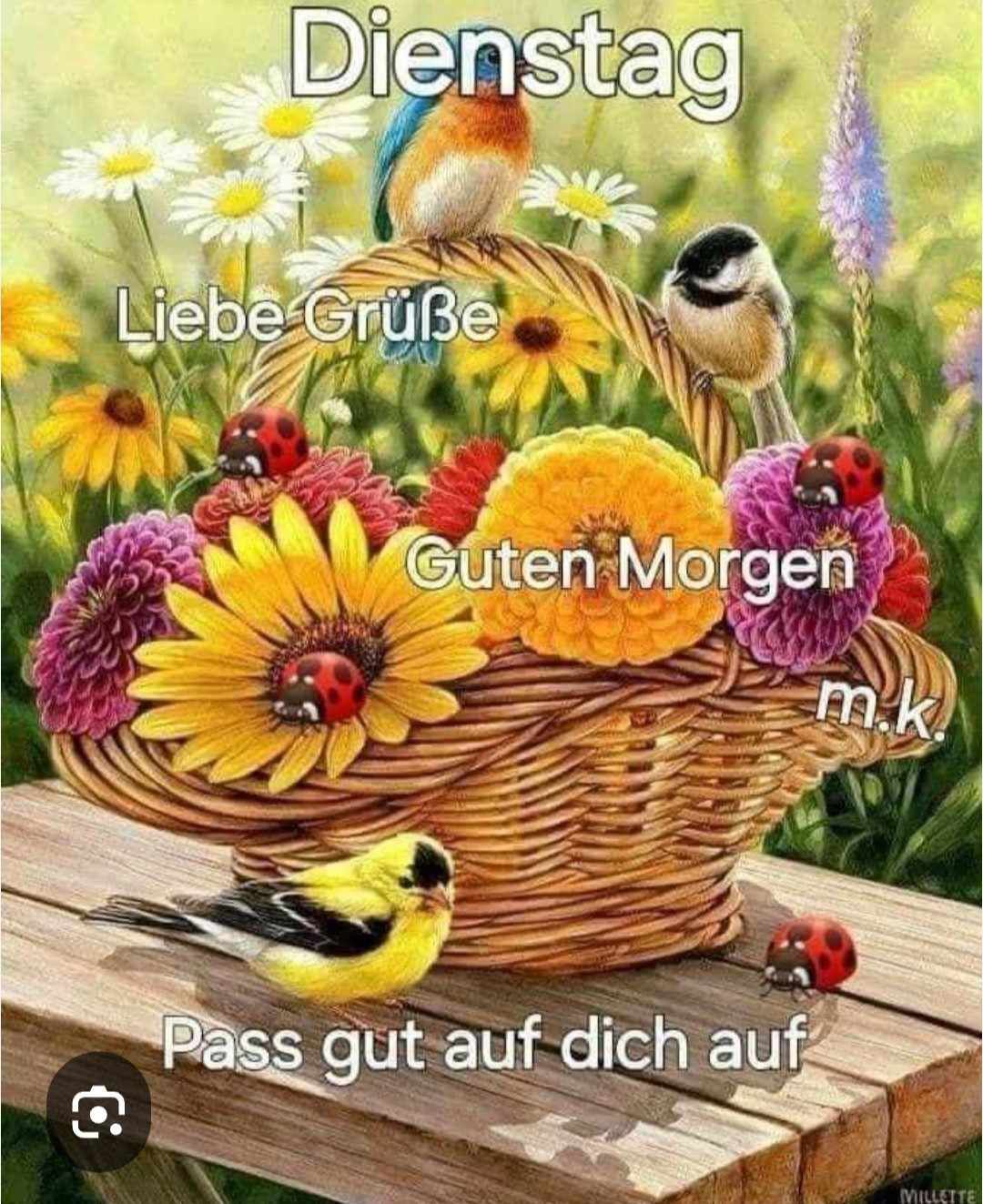 508648188_122166330188563567_181847719597975922_n