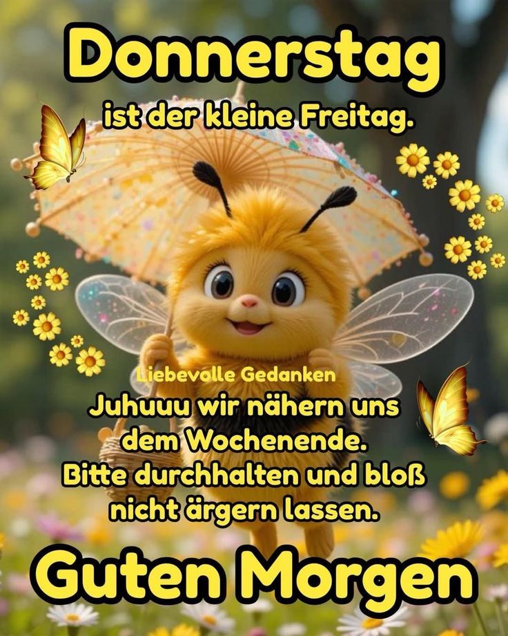 508694236_2523651237995991_6474583624144097801_n