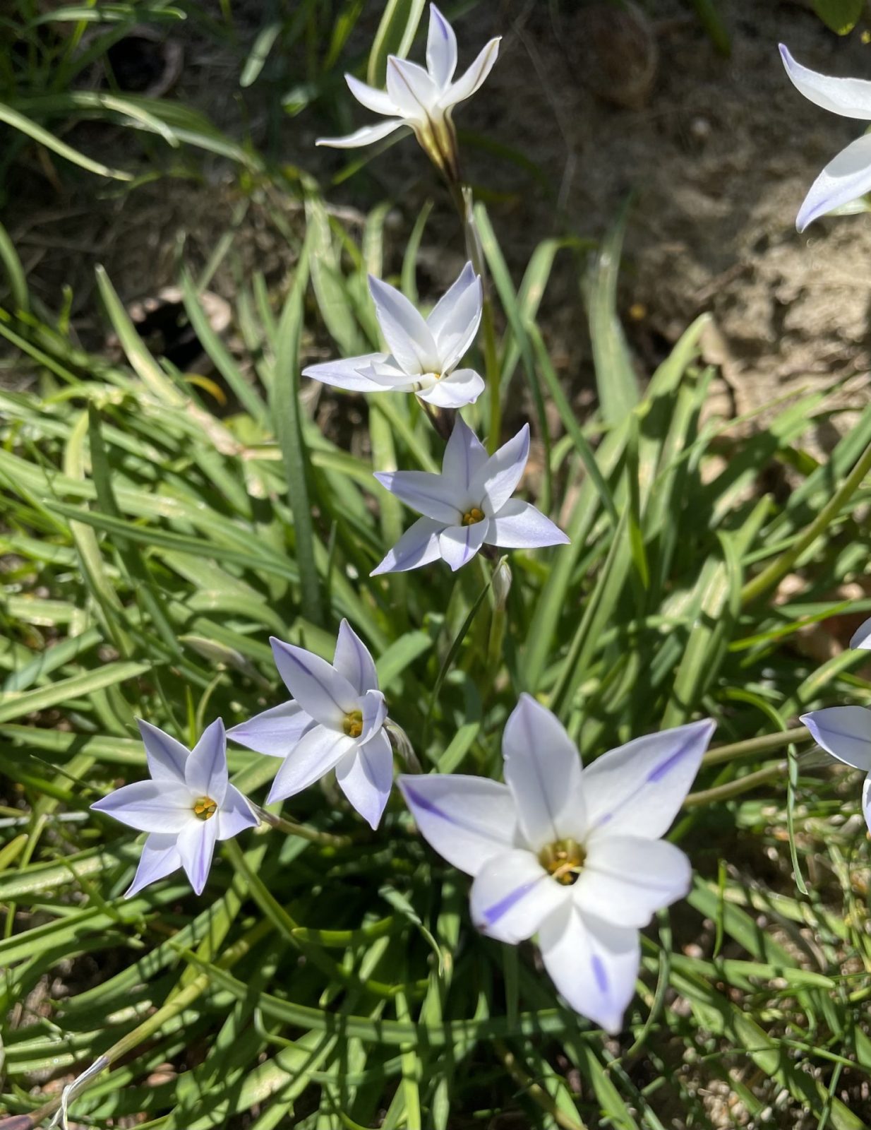 5089D53C-F1F5-4058-9F70-11D86CA9AF85