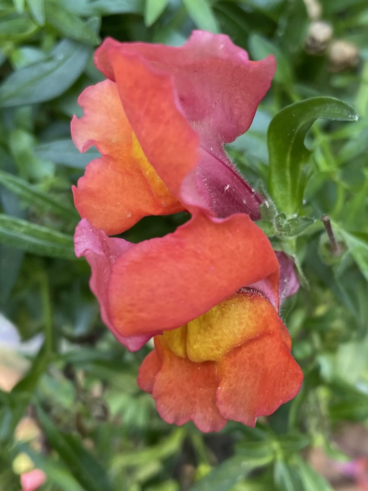 50DF294F-30A6-4429-A36D-FB4706357CB2