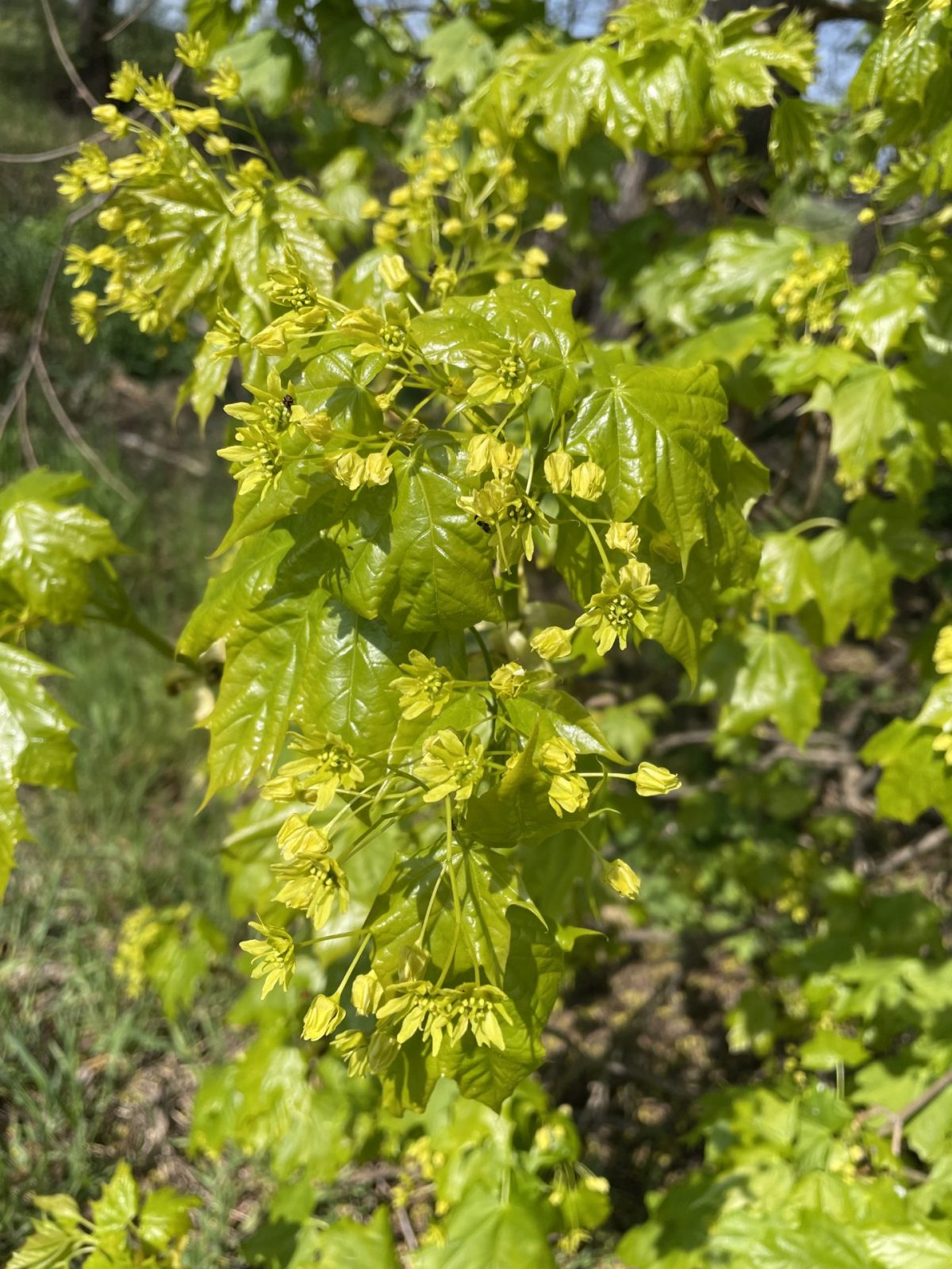 5103B84E-A327-4AF4-84F1-18CFF73AC3FD