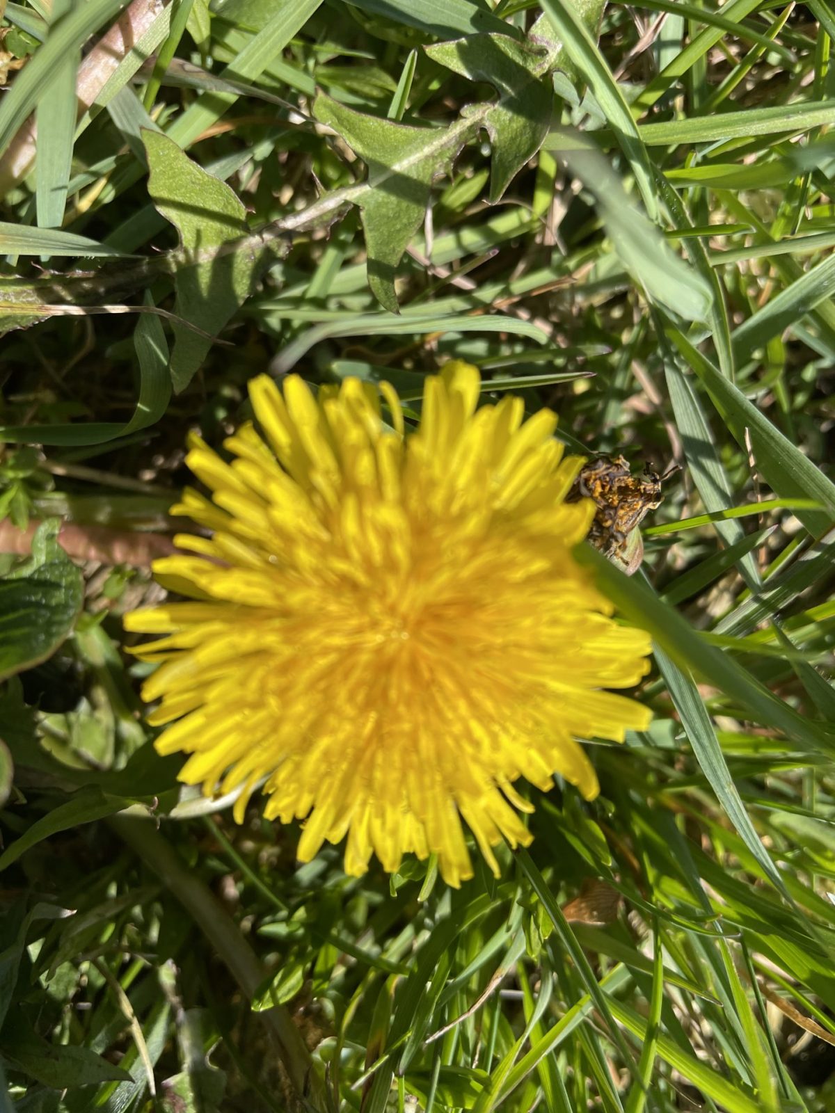 510B6891-3ED3-4058-A535-A644AC3EBE95