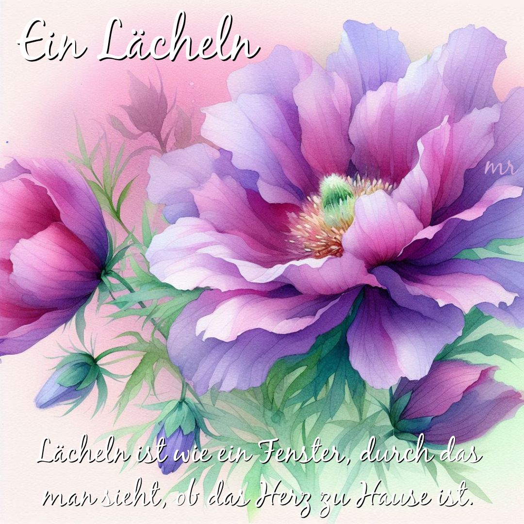 511799115_4005118036413477_2352300377404422333_n (1)