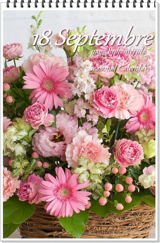 514342232_1236110055217961_1581983255886522792_n