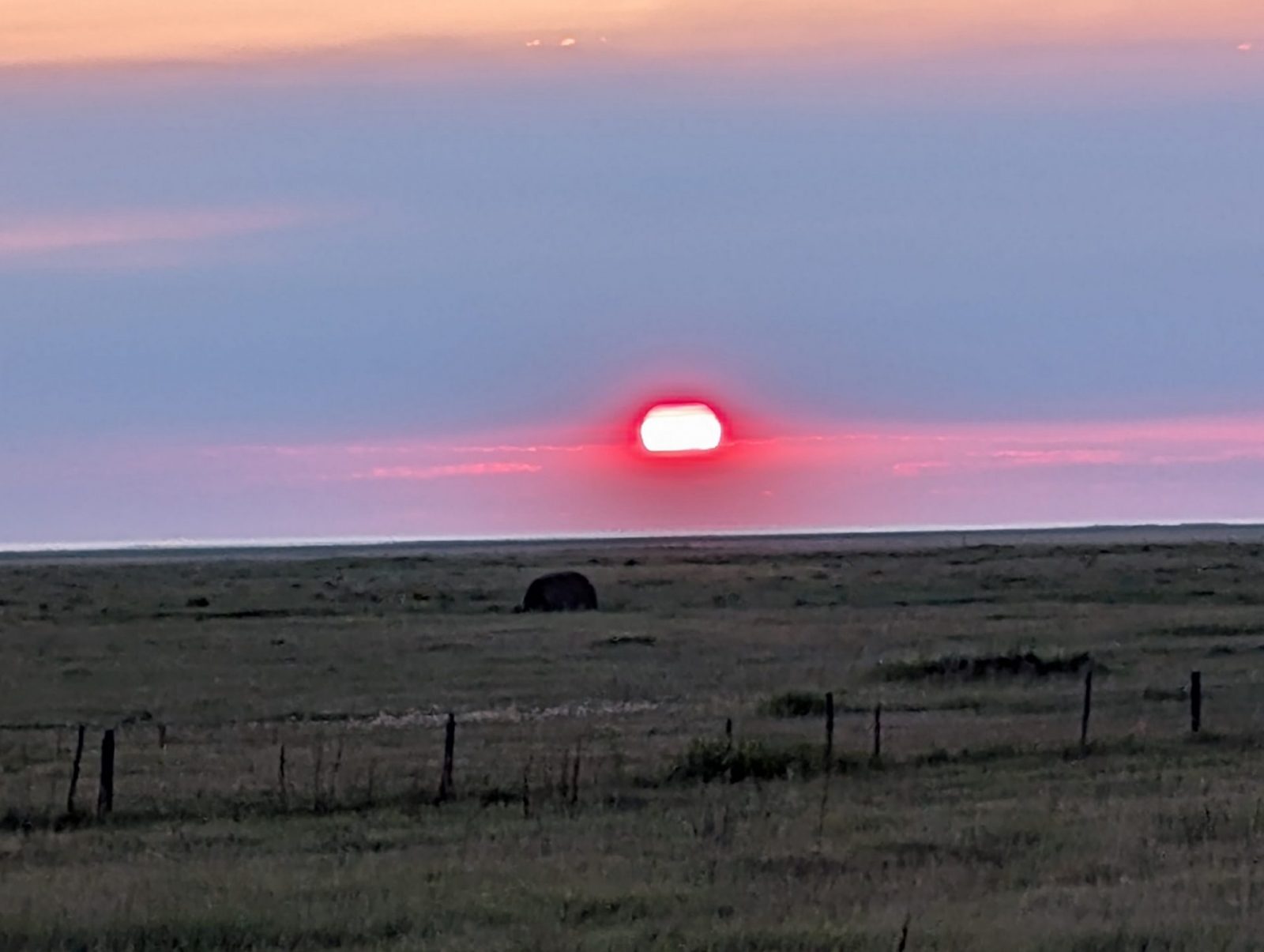 514347756_122182592684312277_3373125530554024933_n