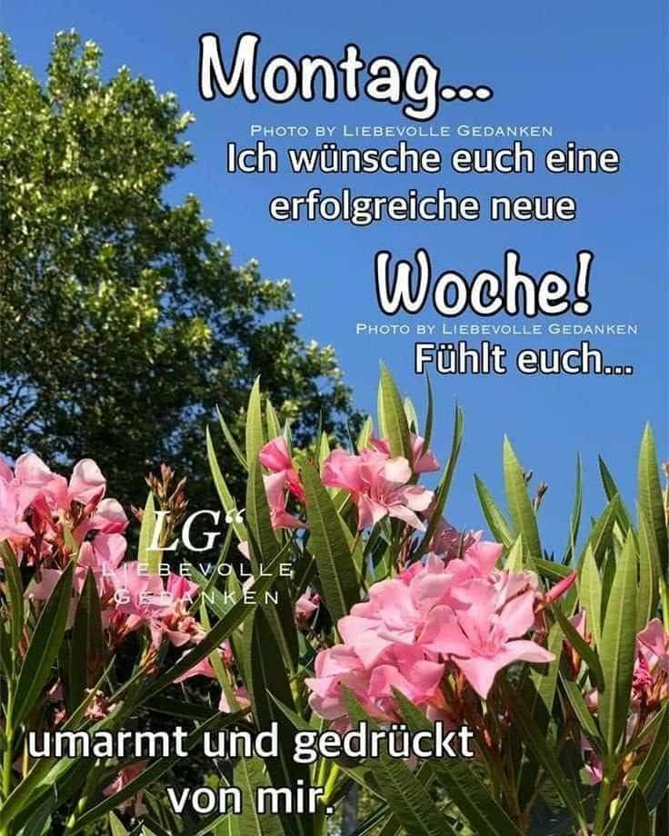 516435237_2493853190973028_2993957276704746444_n