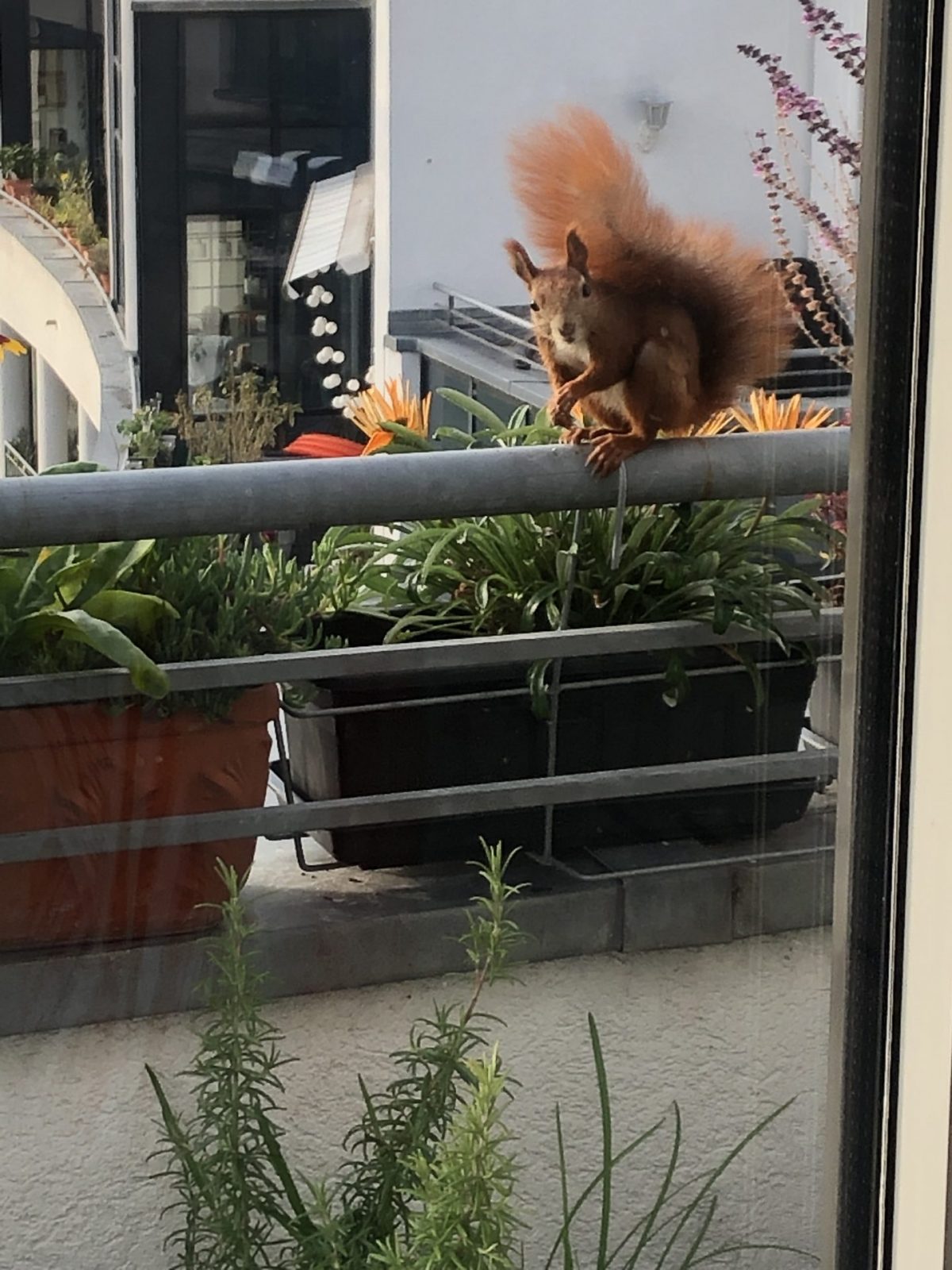 51704869-F3C3-4493-8D9F-EB28EEEC004C