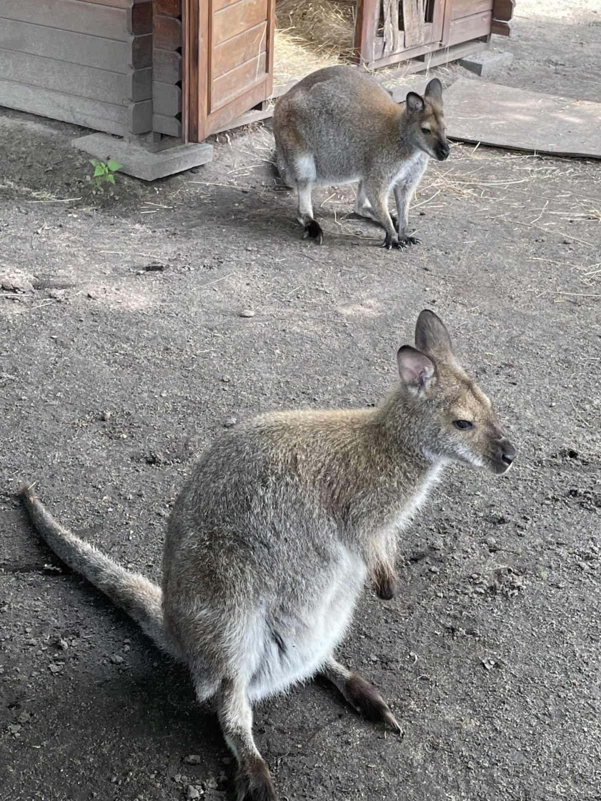 5195F6DB-81C6-4D32-9158-06890A8BC63E