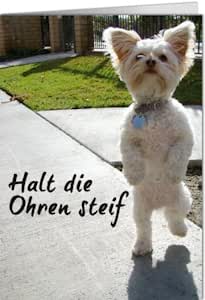 519B5BLXVLL.__AC_SX300_SY300_QL70_ML2_