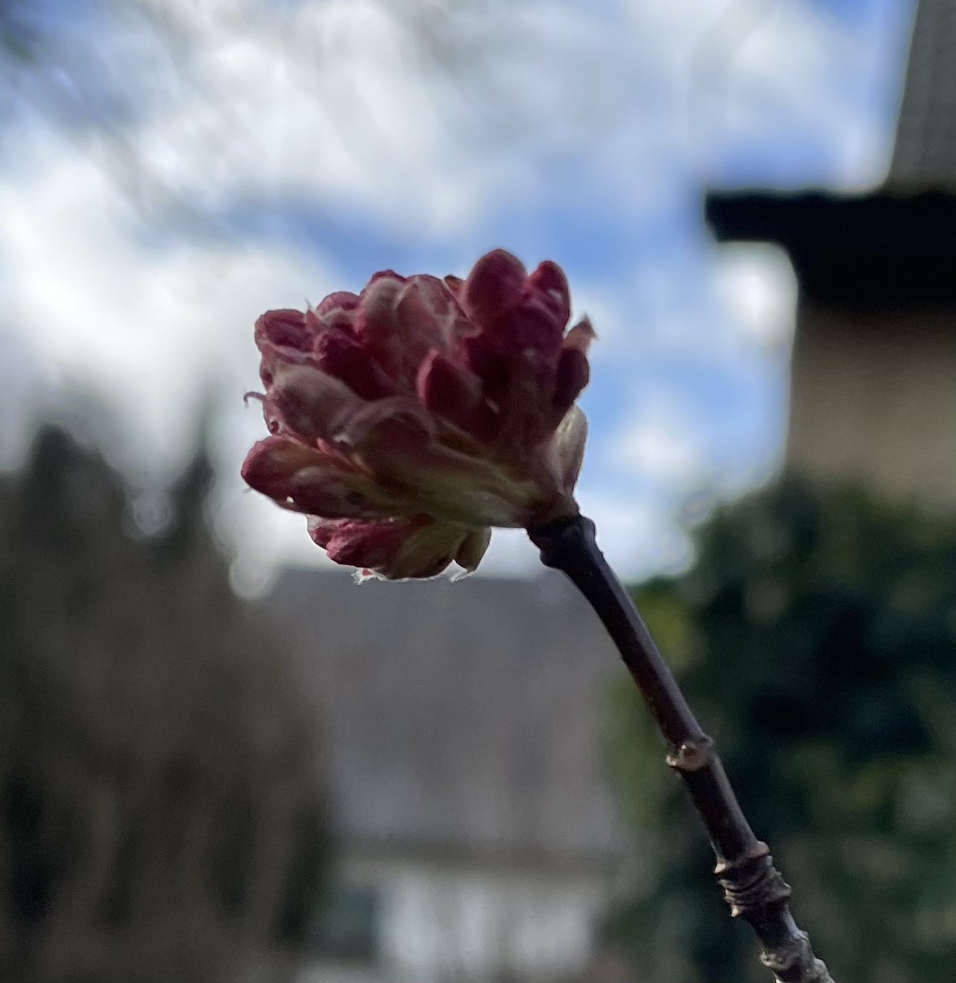 51AF7512-261A-4F7C-B322-DDDDF46B9E71