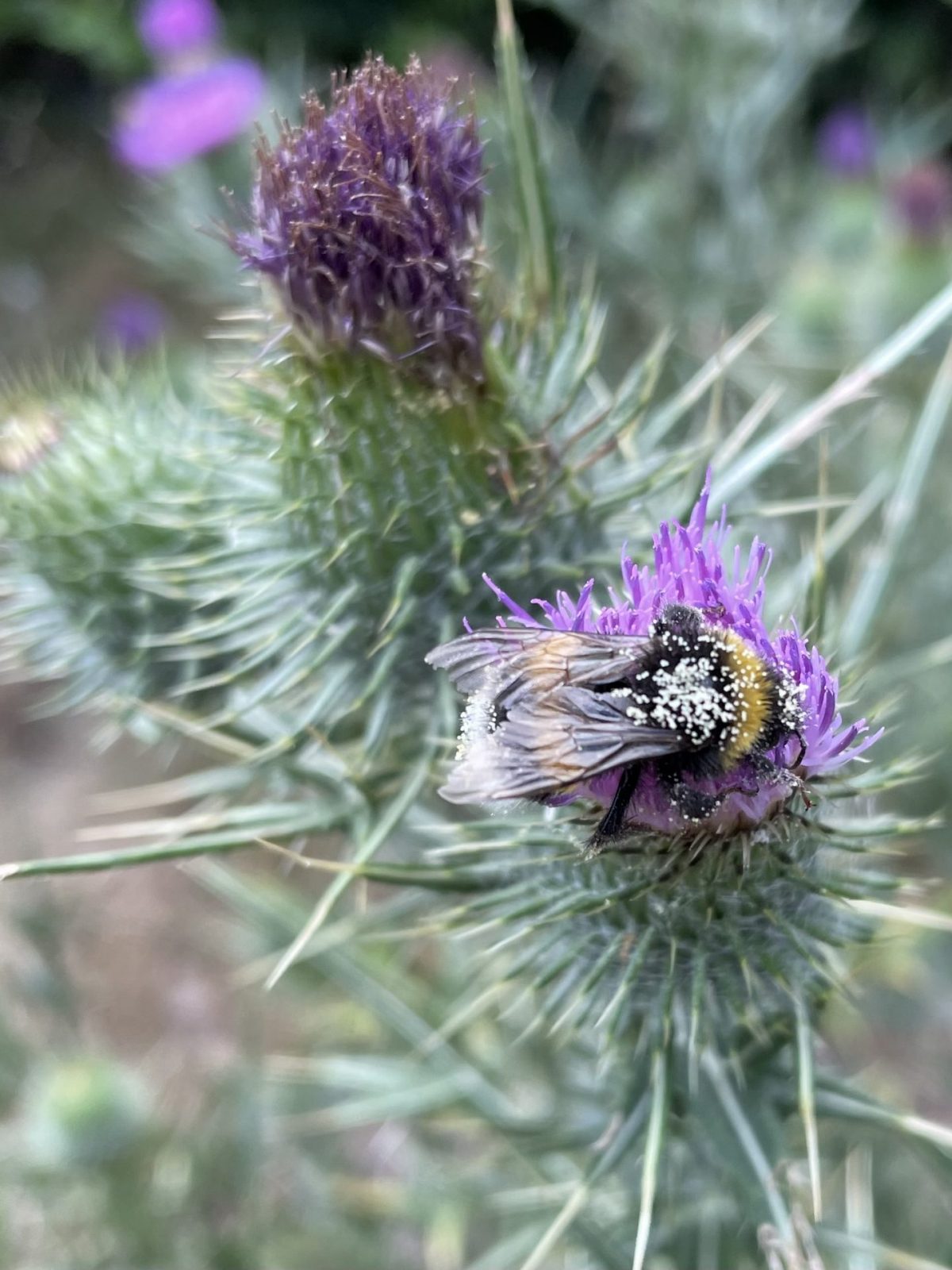 525BCA48-AD13-49D7-9C58-738124F6C65C