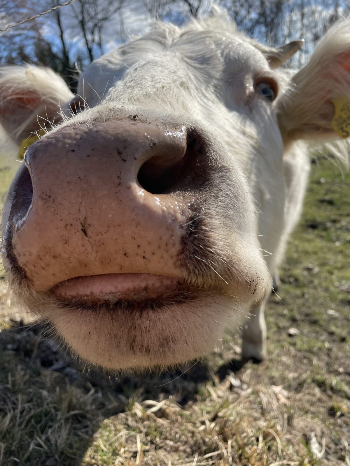 528E2DBC-16C1-4FE4-830B-34224C8B1599