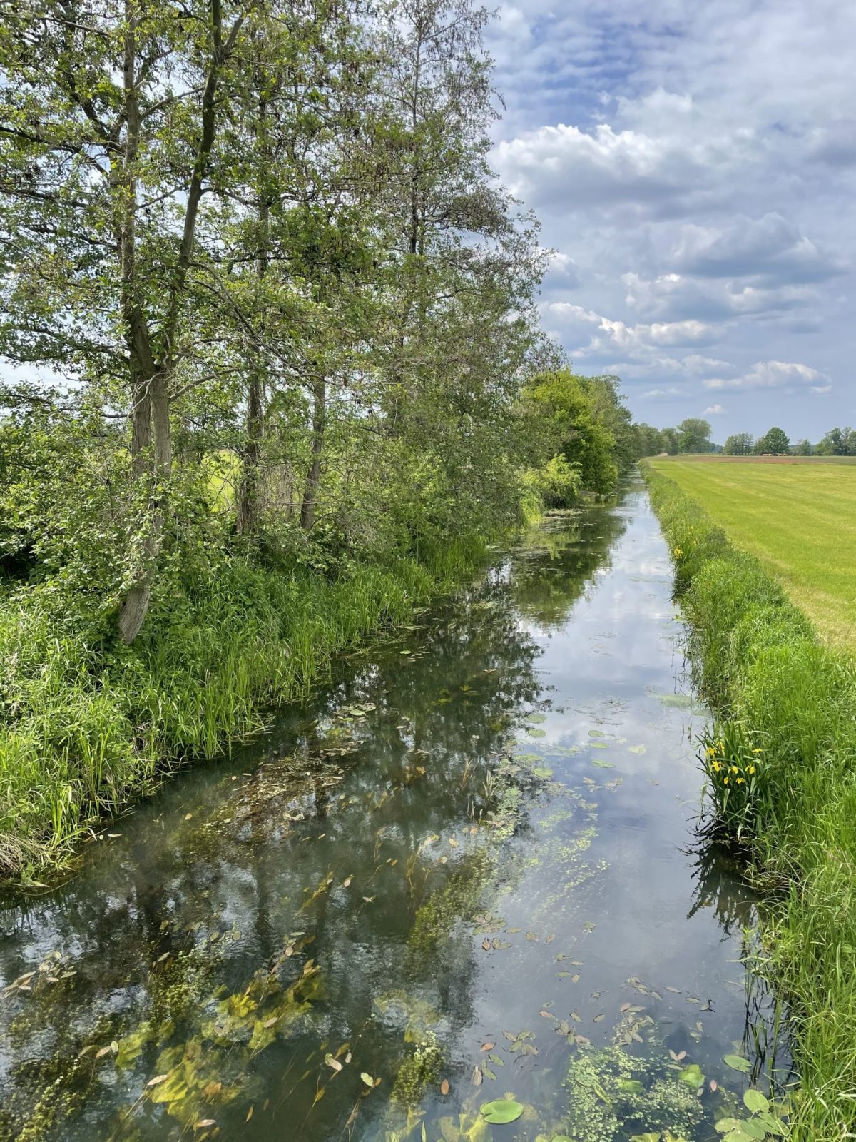 52C1B971-BD8C-4C69-AD0A-8581F101F388