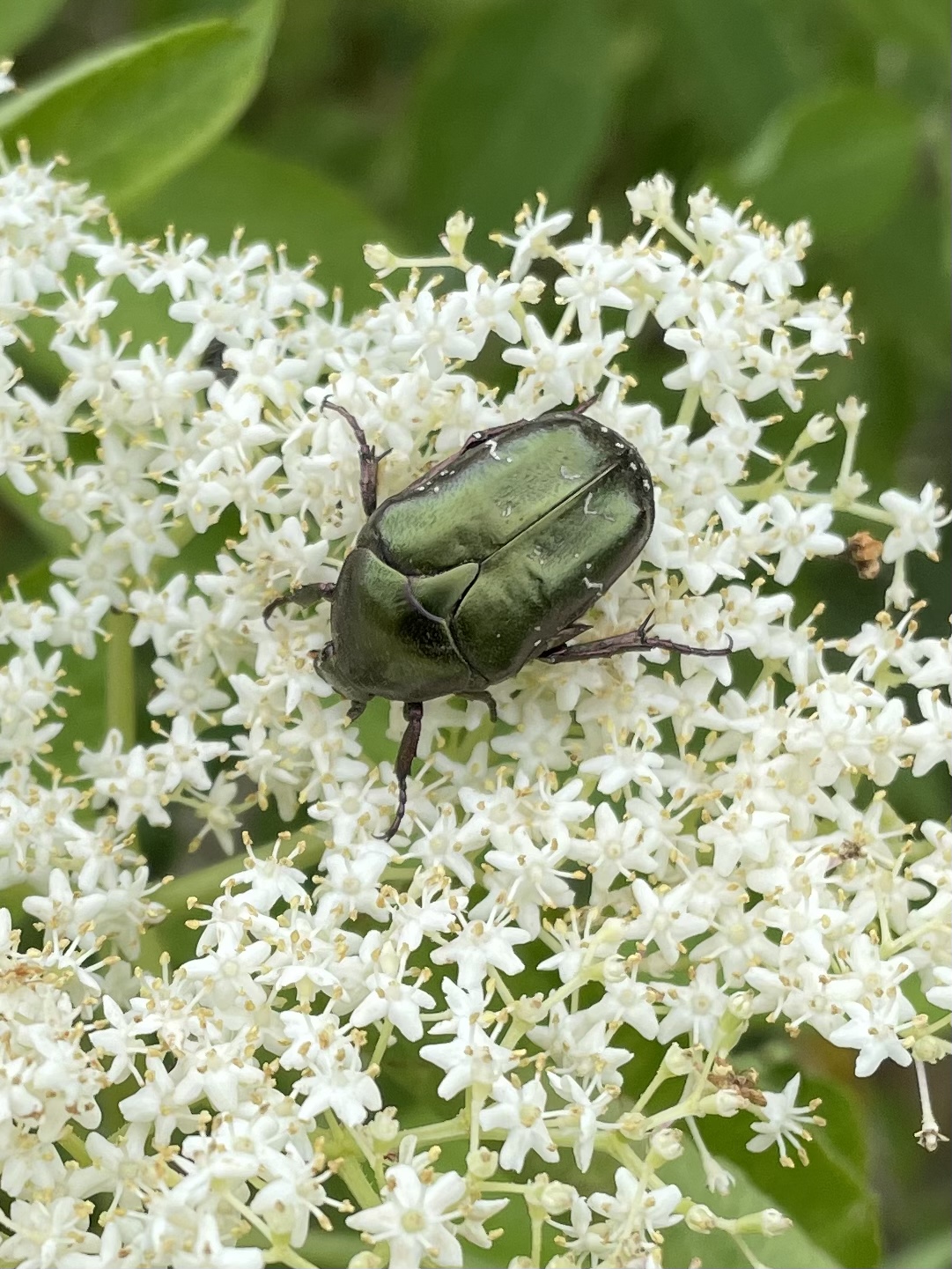 52E27886-71C4-433A-8936-92F08BC888AD