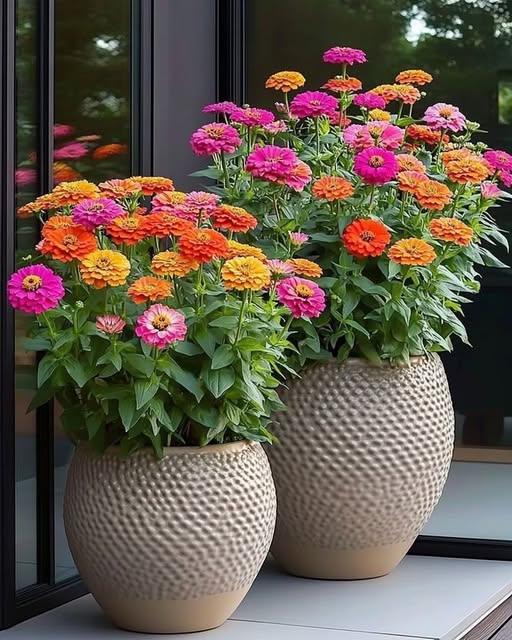 532624124_2138982886525033_9221693147232231323_n