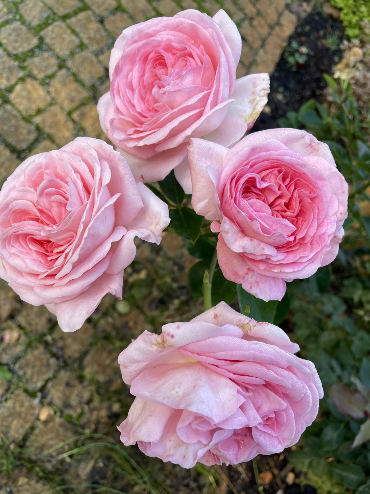 53C238CA-46A5-47DC-A5F3-46ACFB76A565