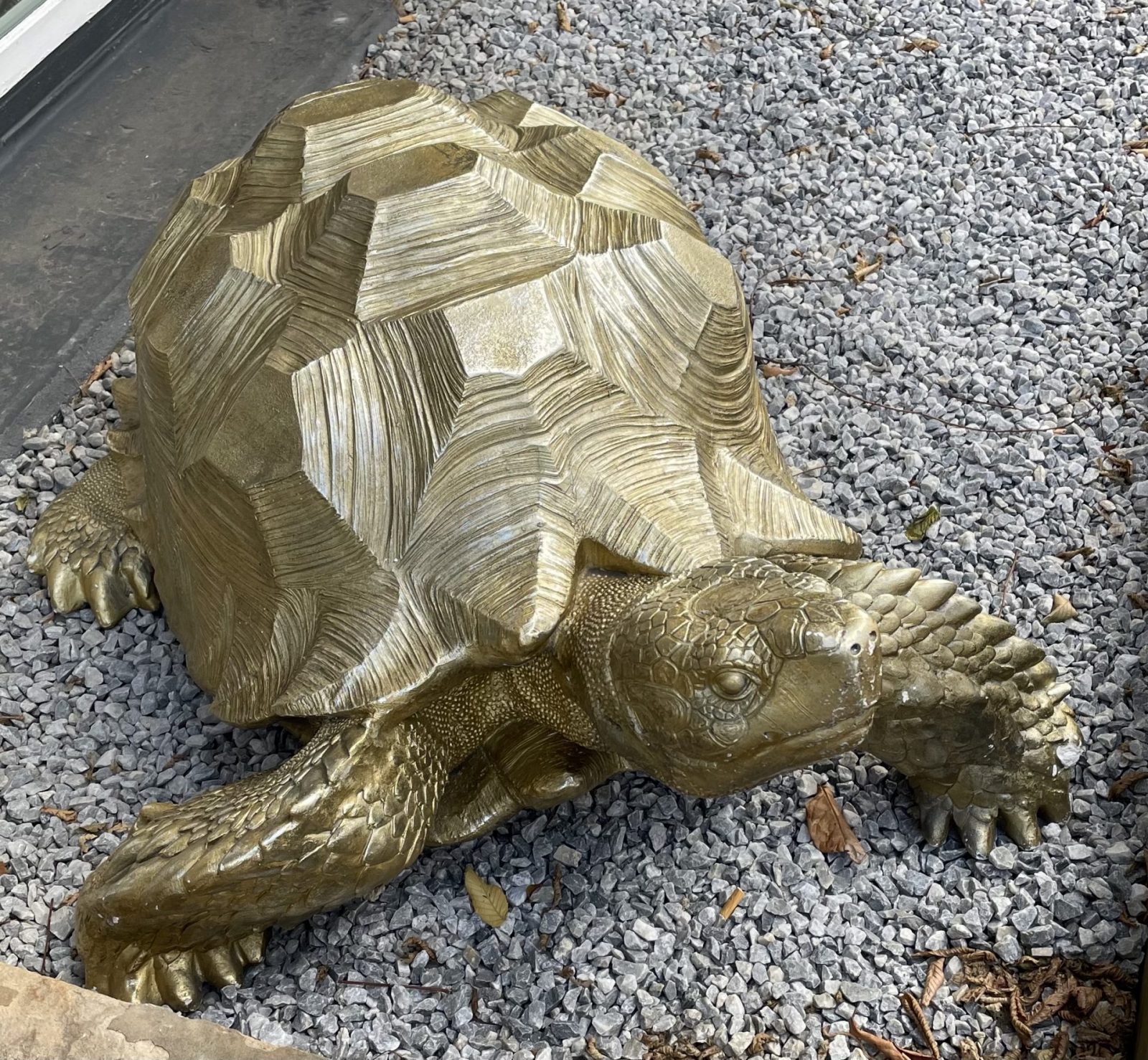 53CE6E8E-A17A-446E-8B07-E5421E86ADDC