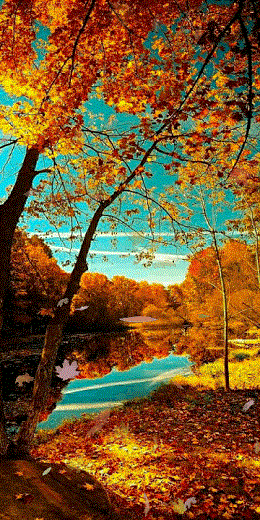 53d492a81aa8fc5cb4ee590f1af954f4