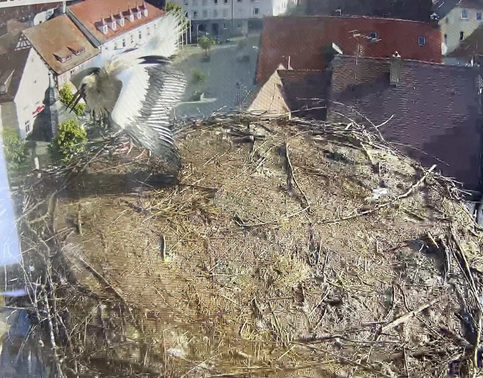 540306F7-62C6-4B81-940B-B2EDC32C2DC9