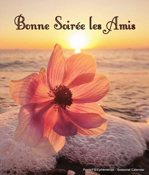 542759342_1224255323070101_3100774106241545893_n