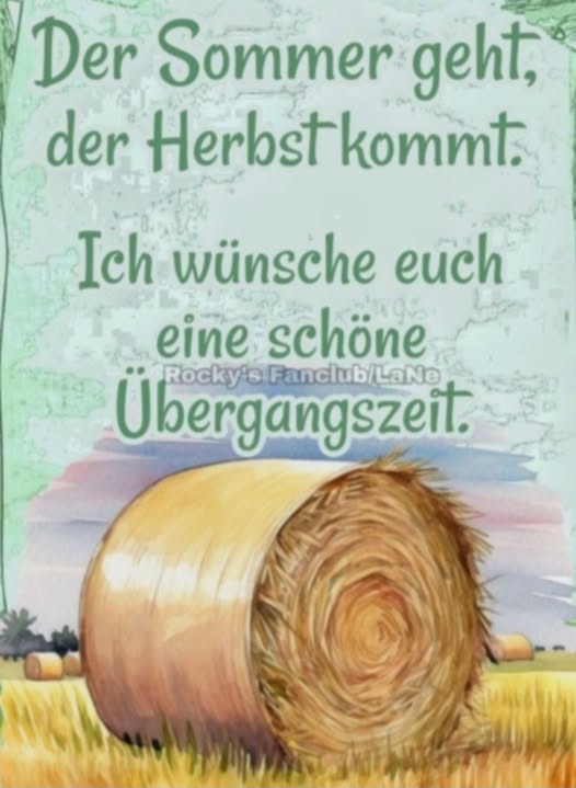 545643180_122149626722617763_6204004341077979572_n