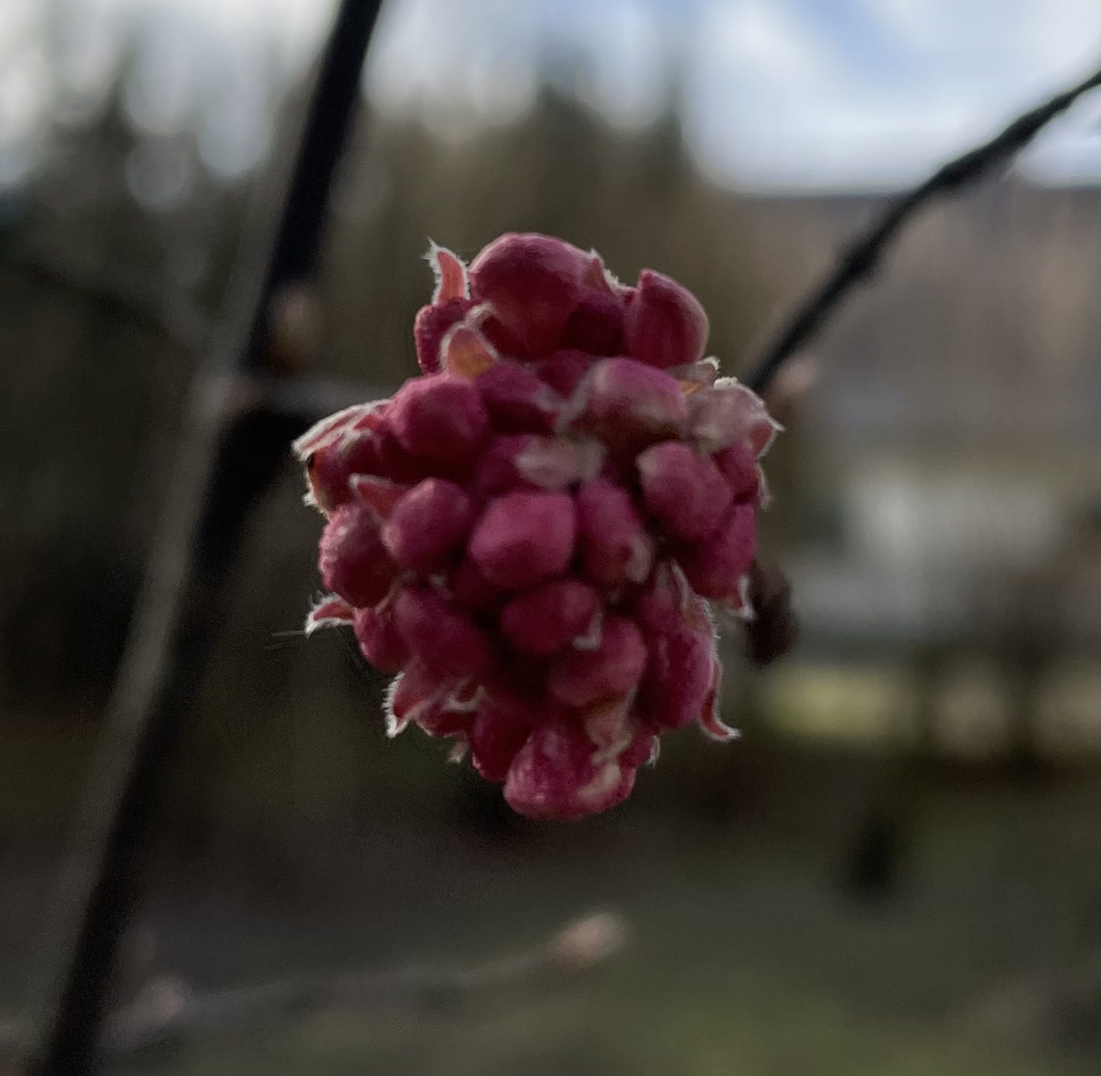 54728B28-4290-4086-9388-BFF12C1BAFAC