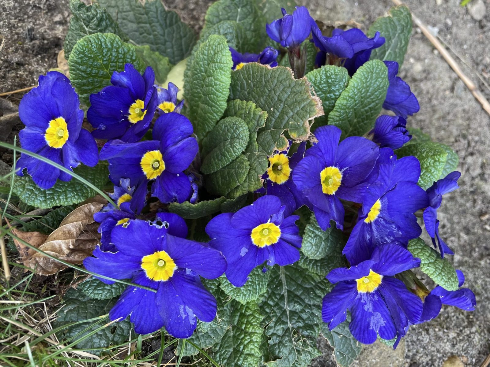 547C82D3-6DF5-4222-8956-DF406D4E0DC1