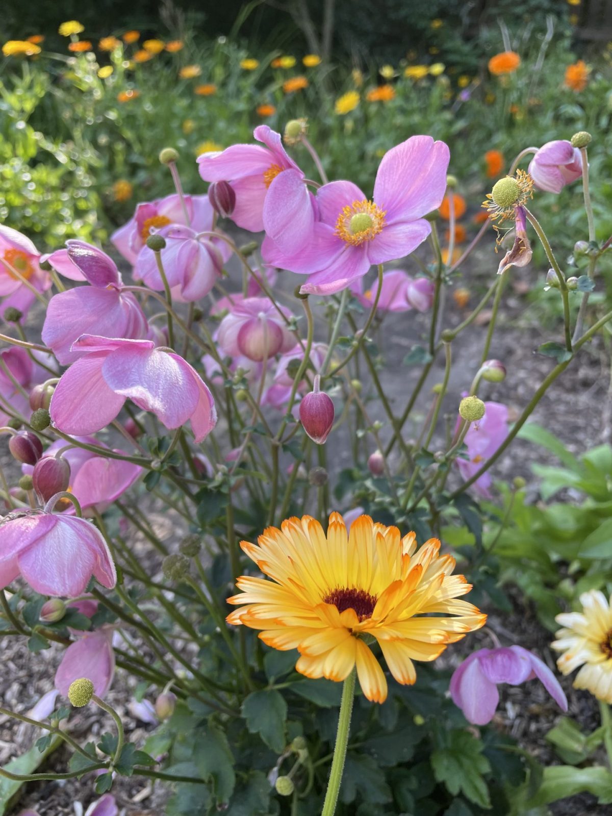 548881D9-4CBF-4ADC-8006-1276AC291F8A