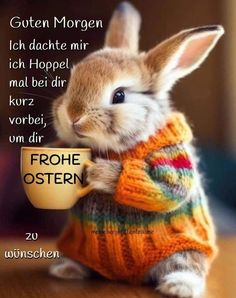 54cdab5789735f1128dd87384e777de0